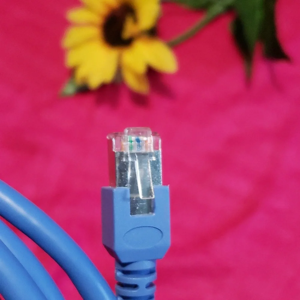 Cat 5e 10' patch cord Blue 